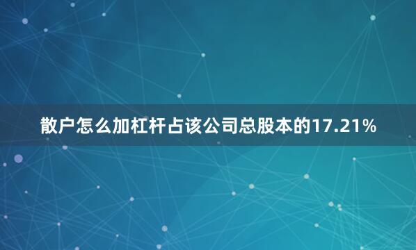 散户怎么加杠杆占该公司总股本的17.21%